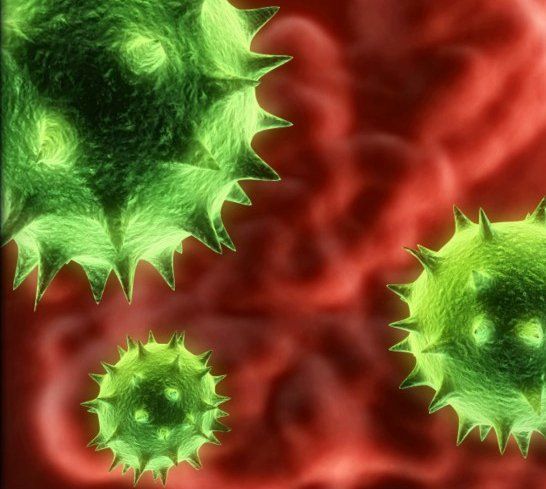 Norovirus