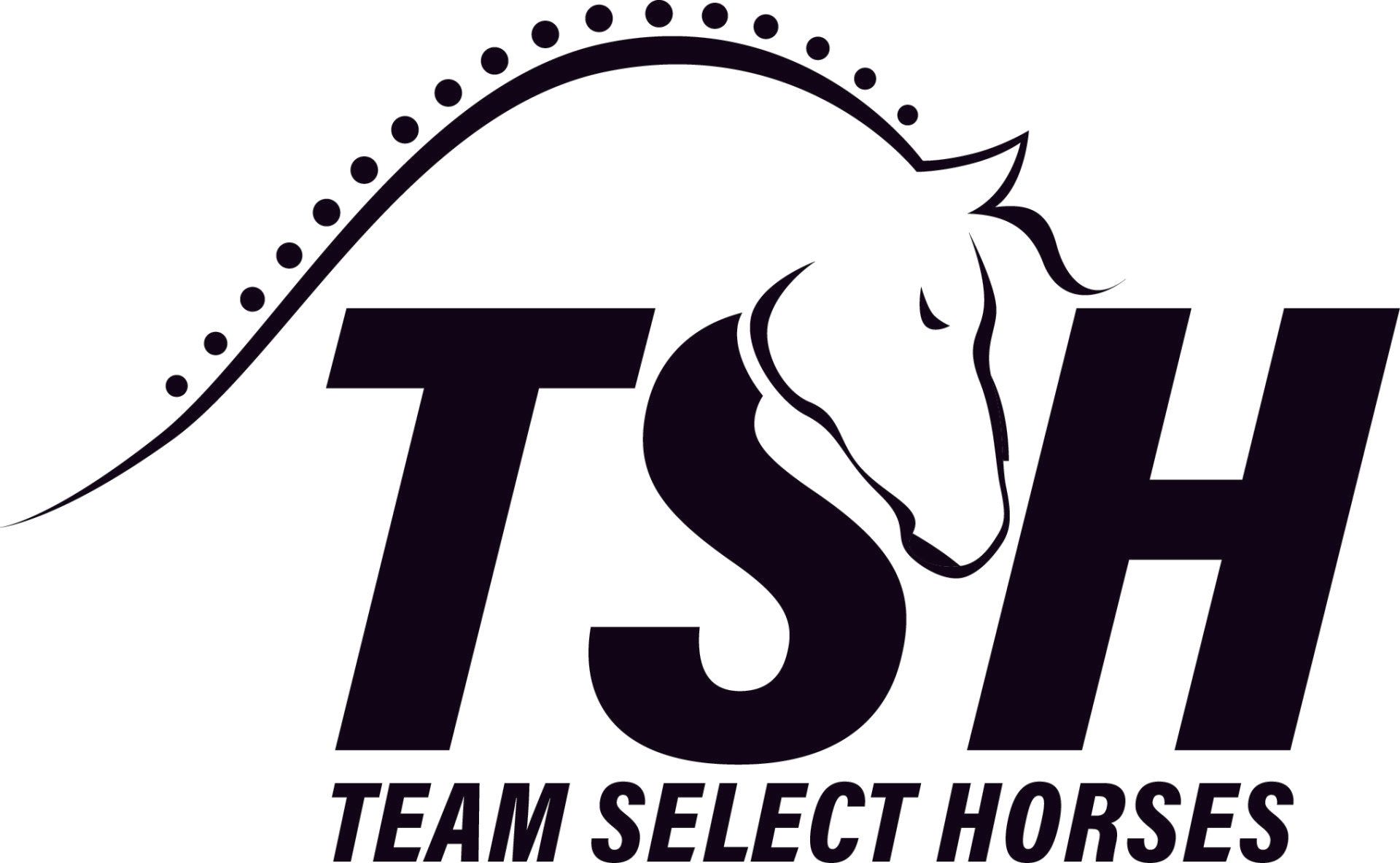 Home [www.teamselecthorses.com]