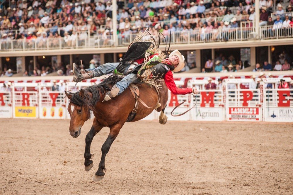 Calgary Stampede