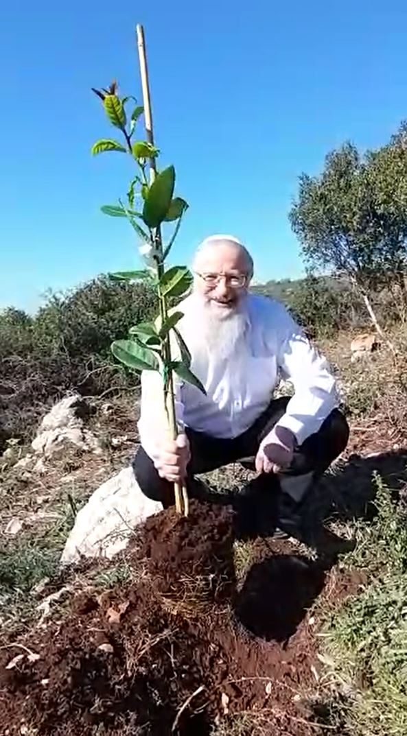 Home Plant Fruit Trees in Israel with Israel Trees Zo Artzeinu
