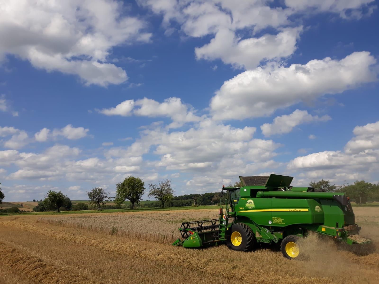 John Deere-Mähdrescher beim dreschen eines Getreidefeldes, im Hintergrund vereinzelt Bäume unter leicht bewölktem Himmel.