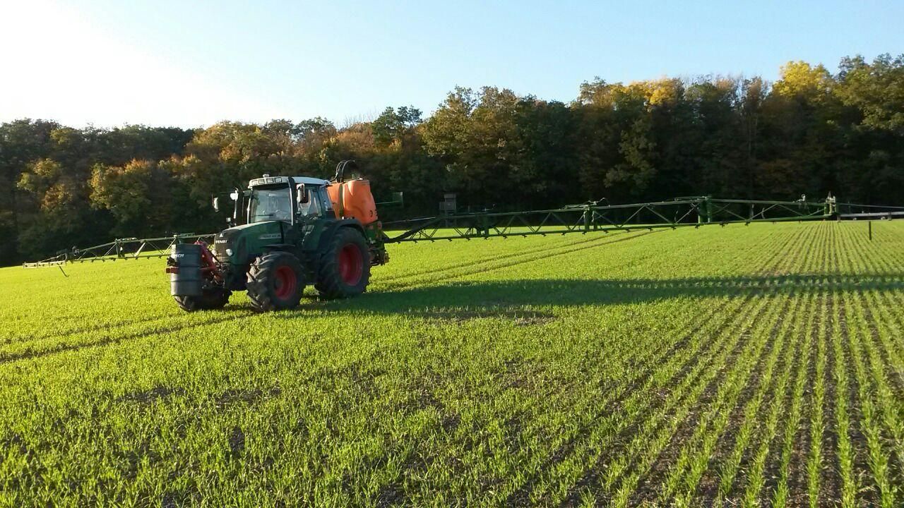 Fendt-Traktor mit Amazone-Anbaupflanzenschutspritze auf bepflanztem Feld, im Hintergund güner Wald unter blauem Himmel.