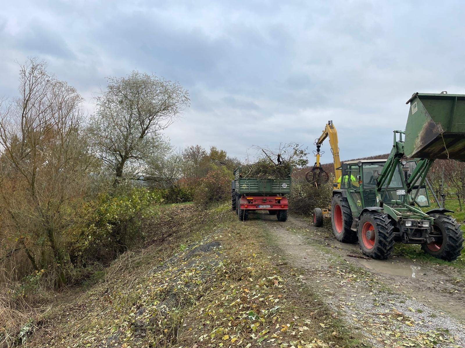 Landschaftspflegearbeiten mit Fendt-Traktor und Bagger - Ast-und Gehölzschnitt wird auf einen Anhänger verladen.