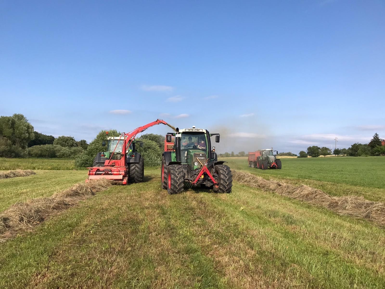 Grünlandpflege mit mehreren Fendt-Traktoren - Gras wird mit einem Häcksler aufgenommen und in Anhänger verladen.