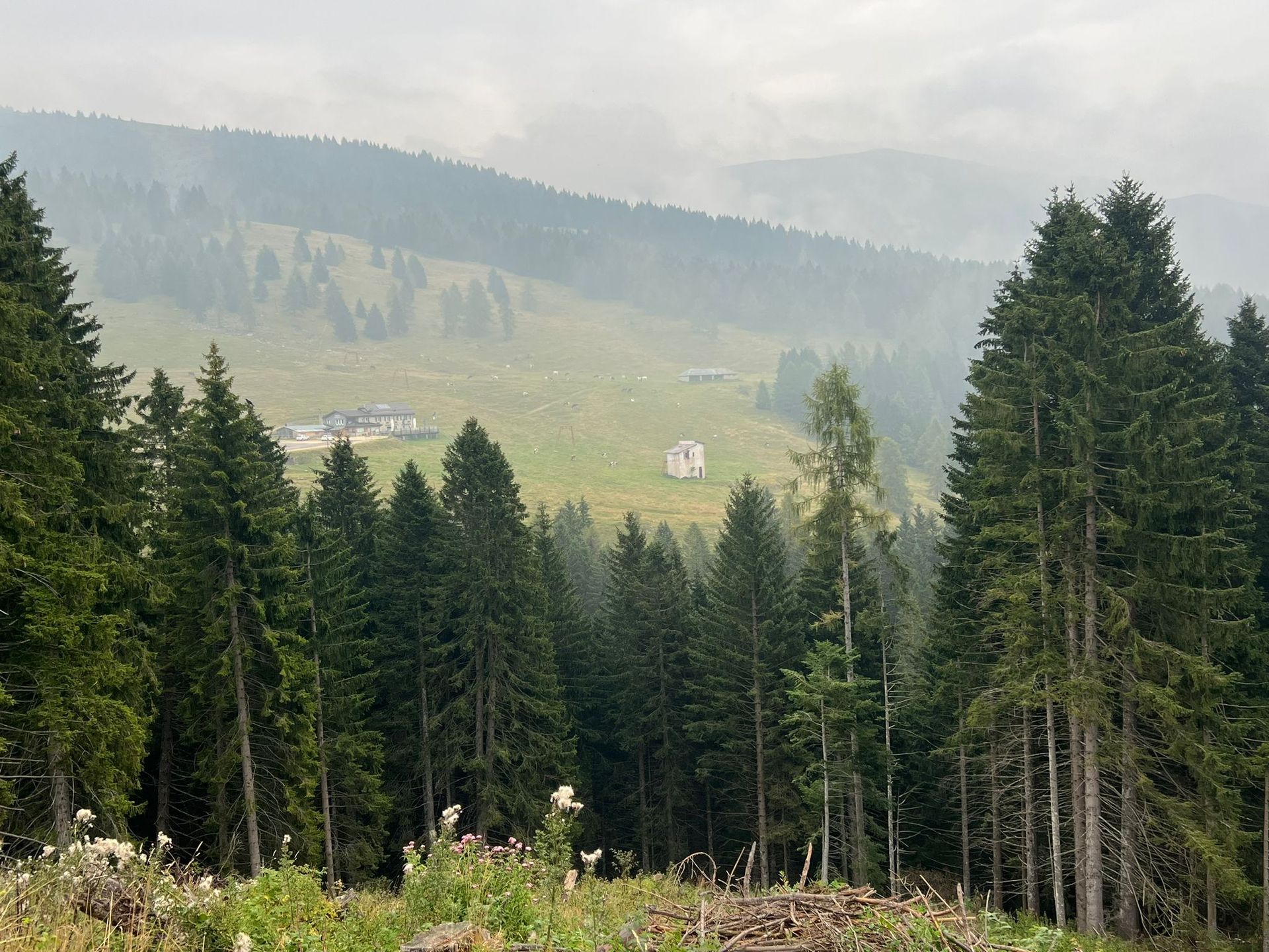 Ausblick vom Wanderweg