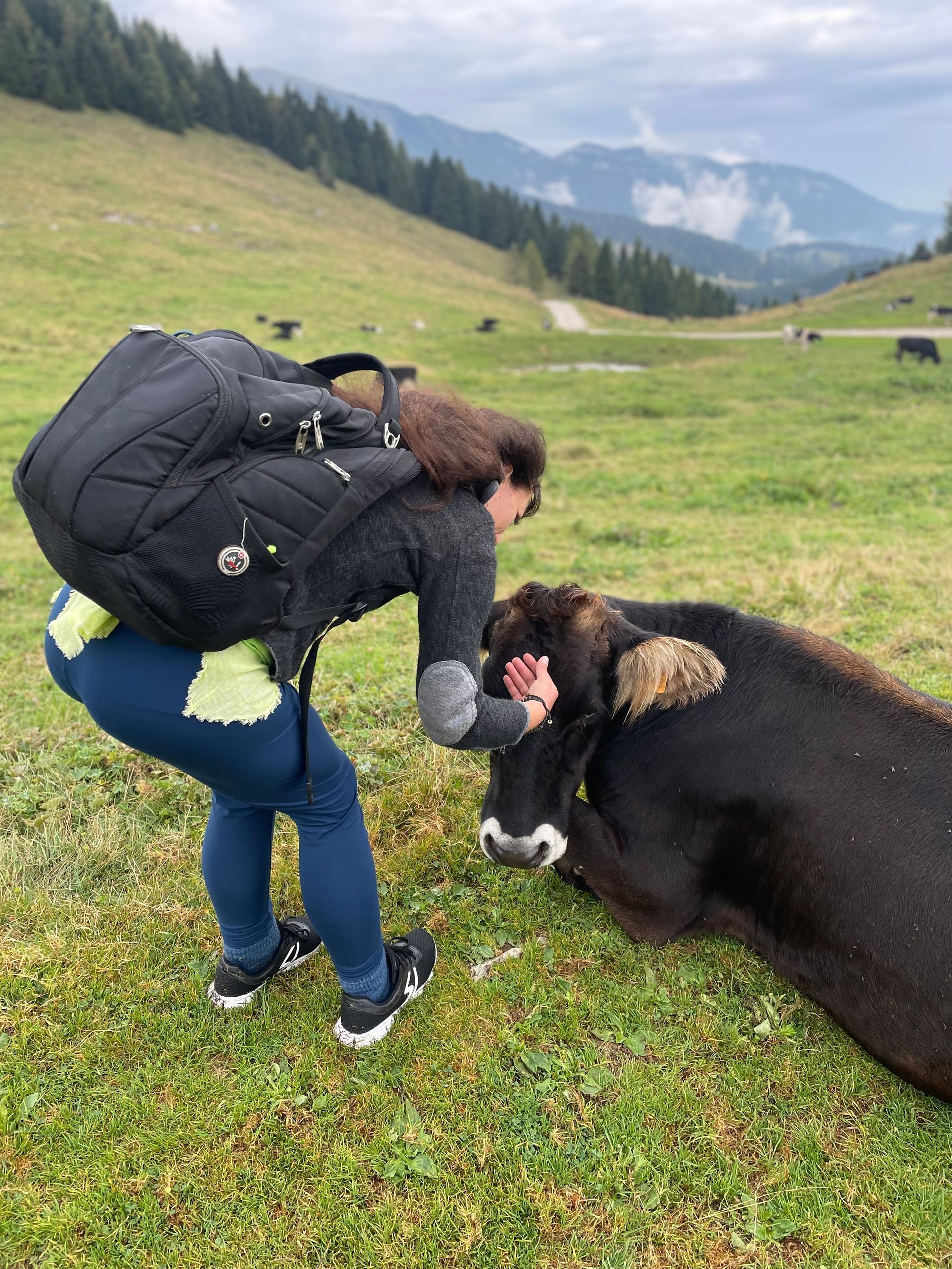Anka streichelt eine Kuh
