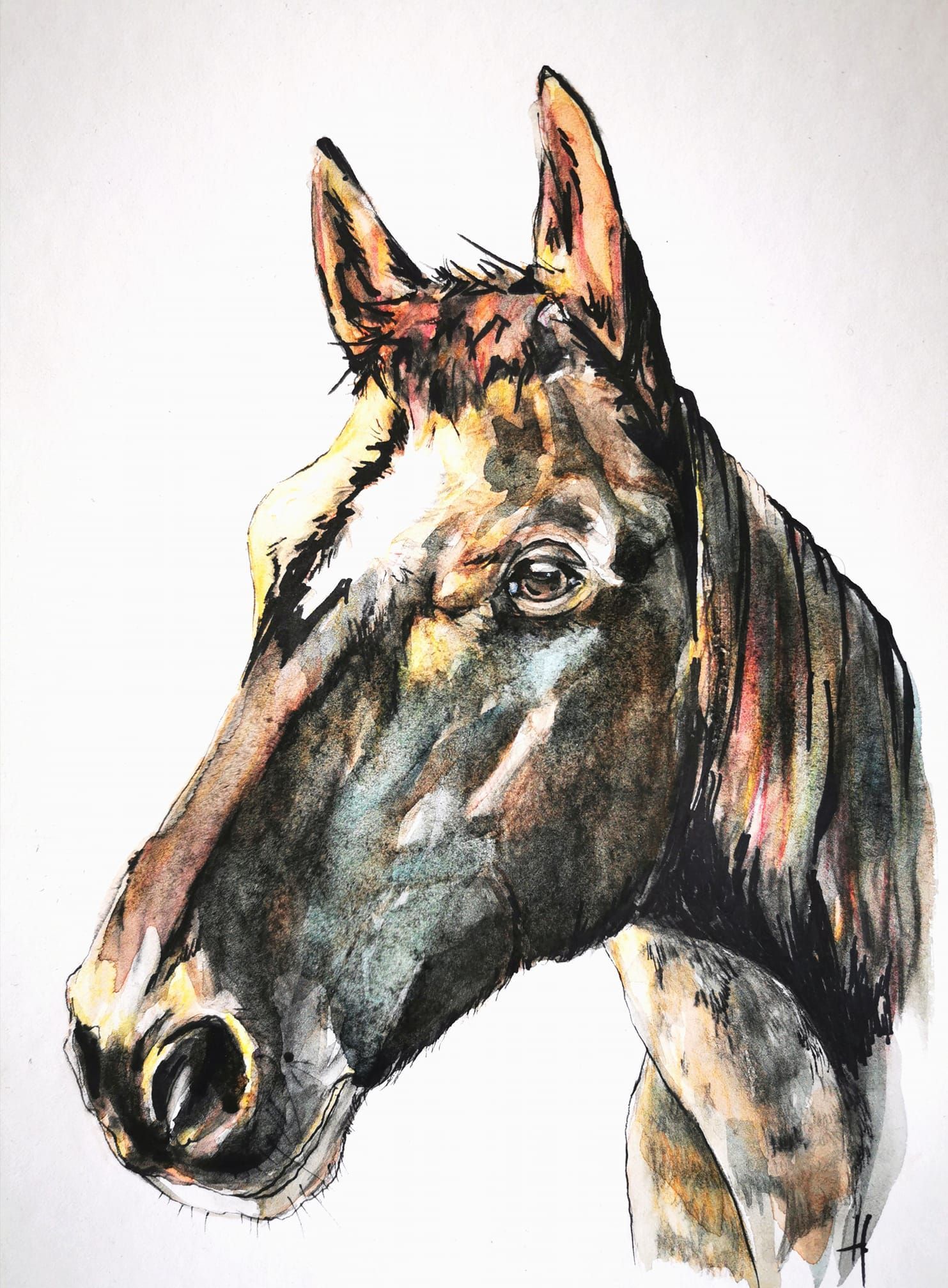 Foto zeigt eine Aquarellzeichnung Pferd