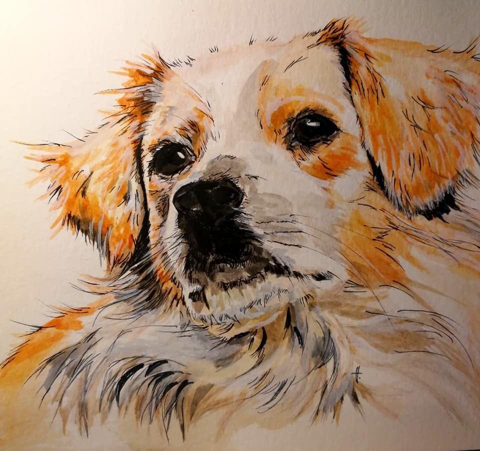 Zeichnung eines Hundes Aquarell