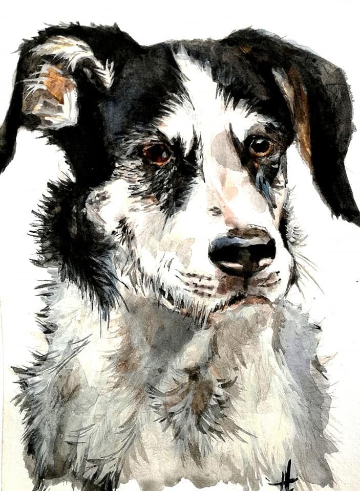 Zeichnung eines Hundes Aquarell