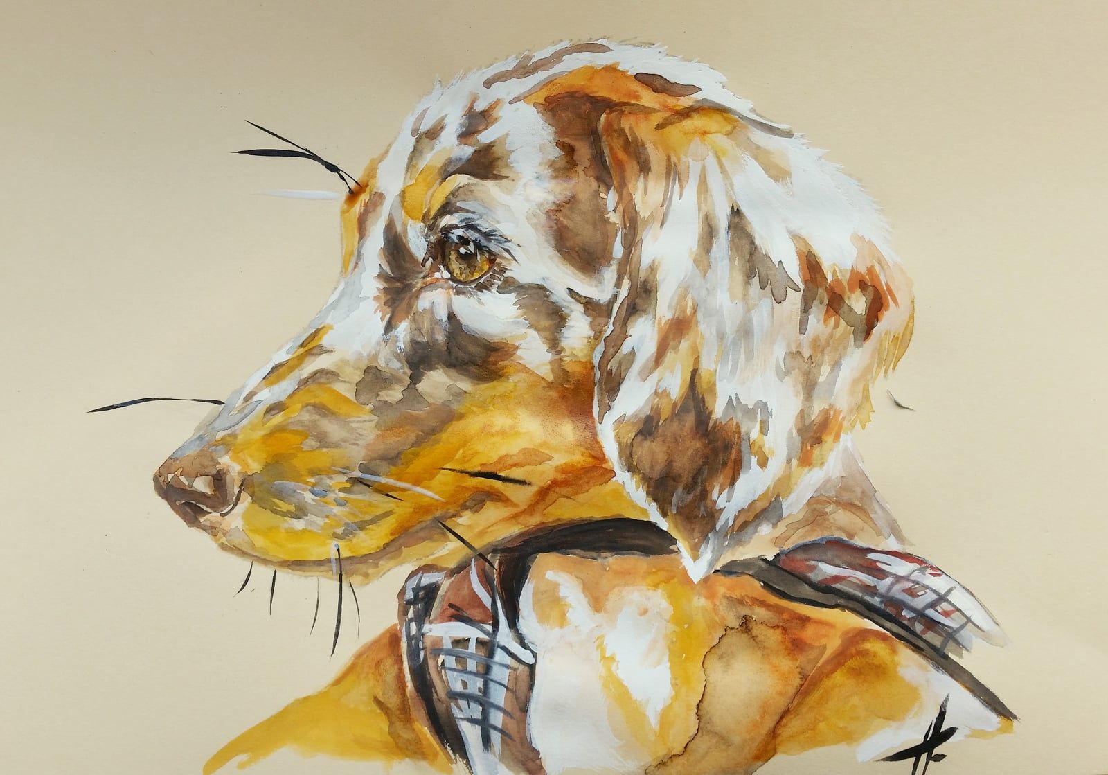 Zeichnung eines Hundes Aquarell