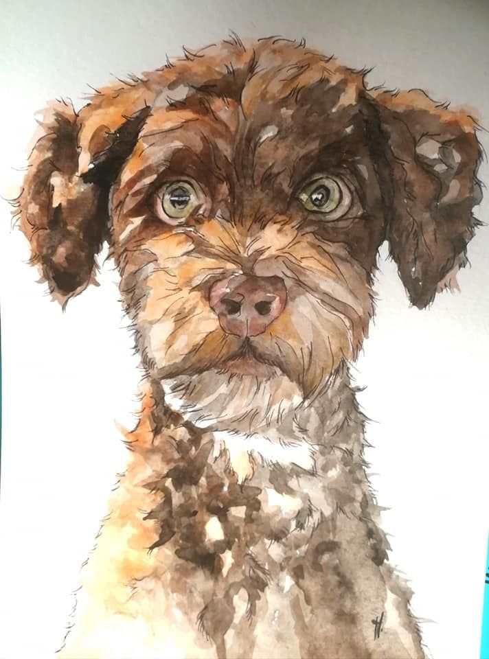 Zeichnung eines Hundes Aquarell