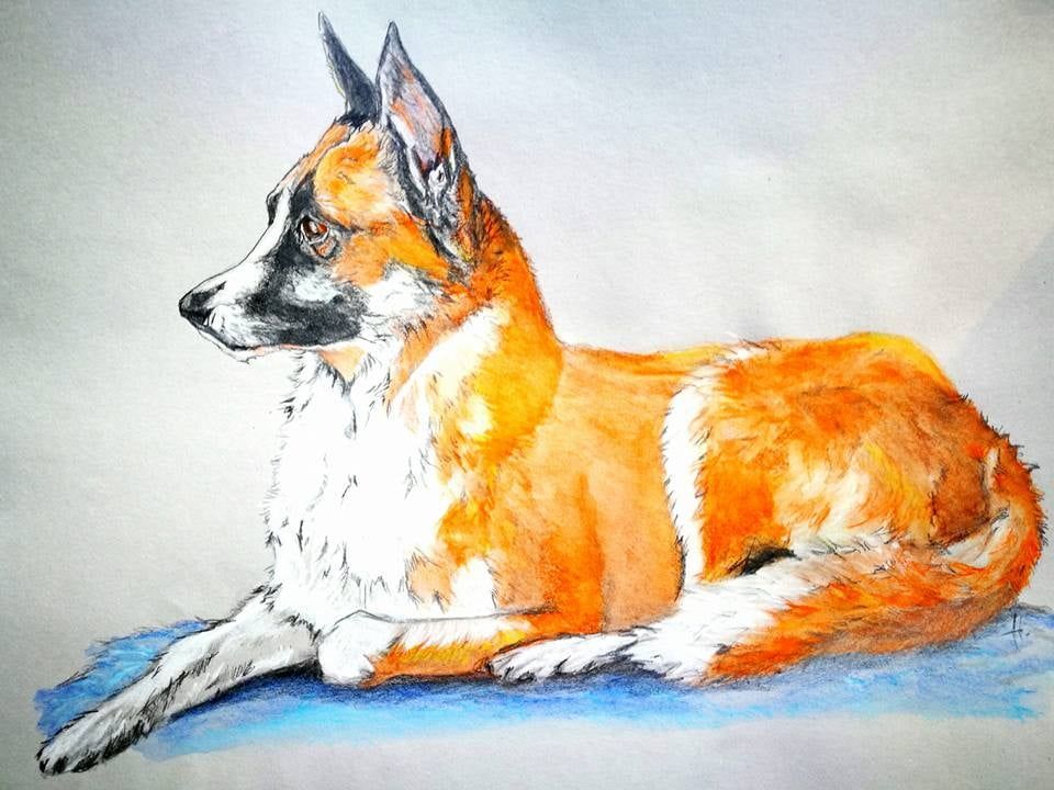 Zeichnung eines Hundes Aquarell