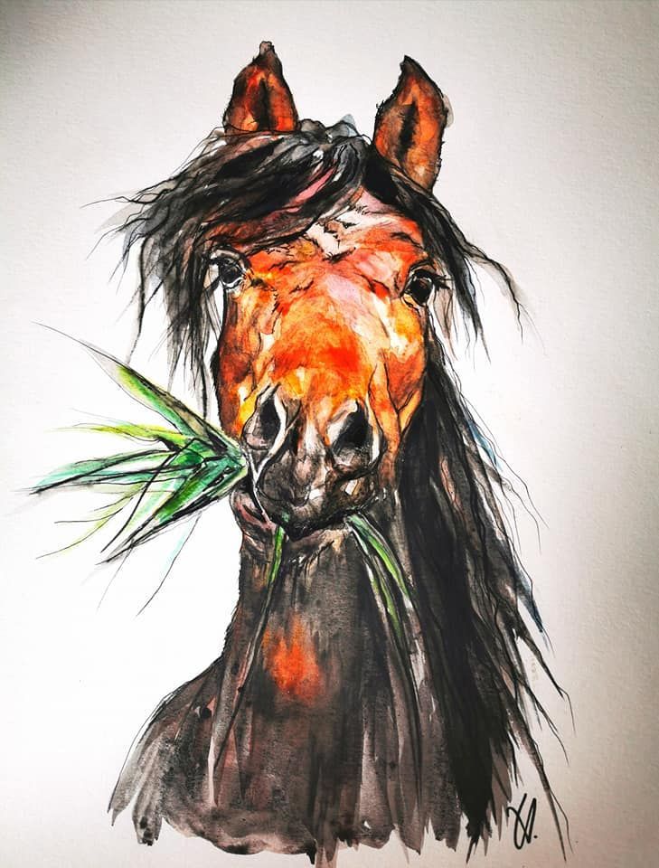 Foto zeigt eine Aquarellzeichnung Pferd