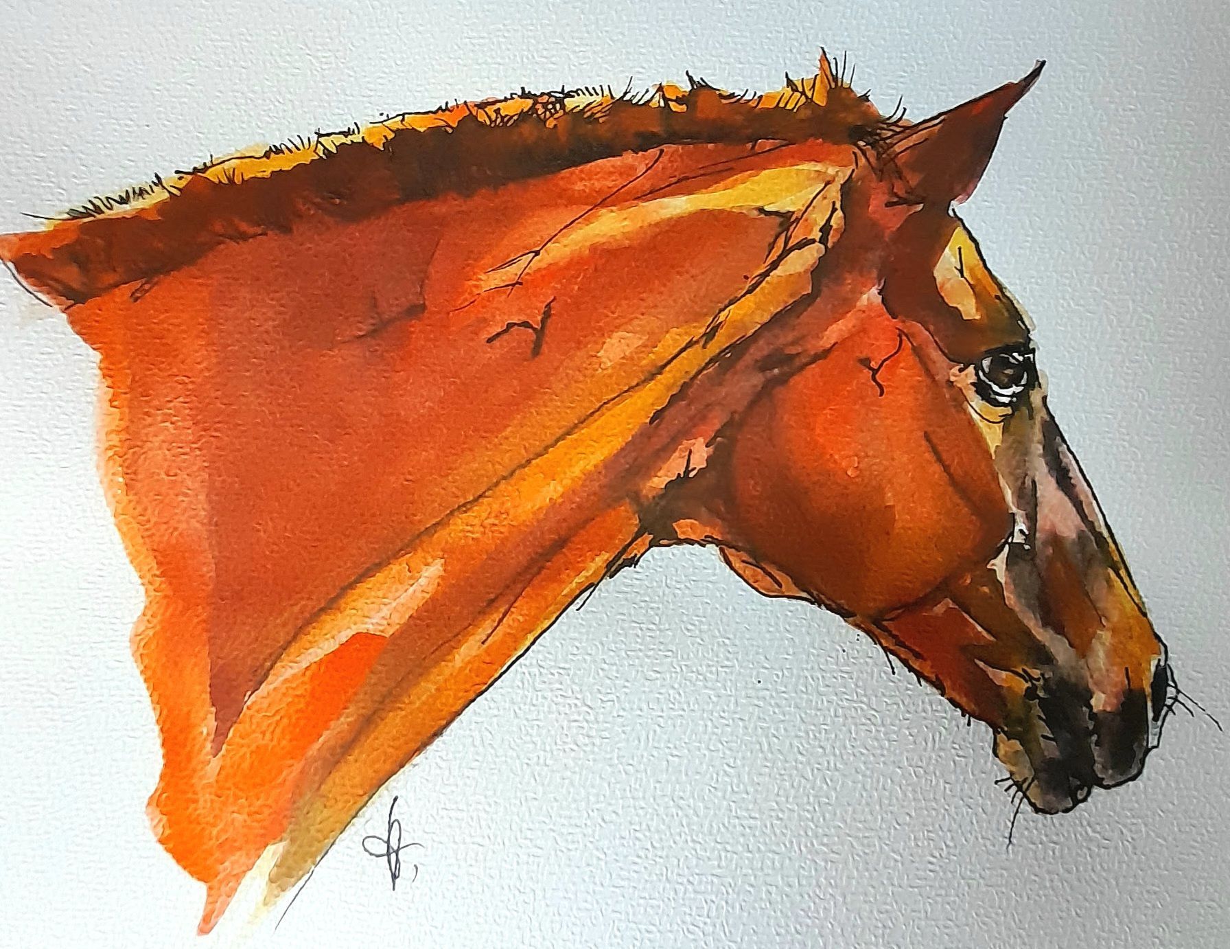 Foto zeigt eine Aquarellzeichnung Pferd