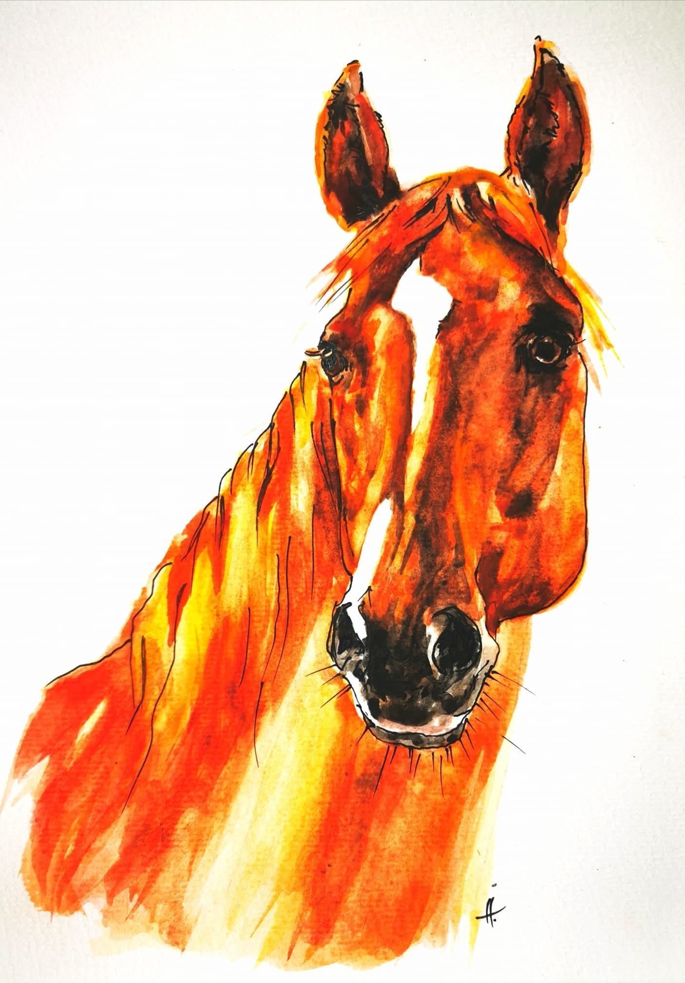 Foto zeigt eine Aquarellzeichnung Pferd