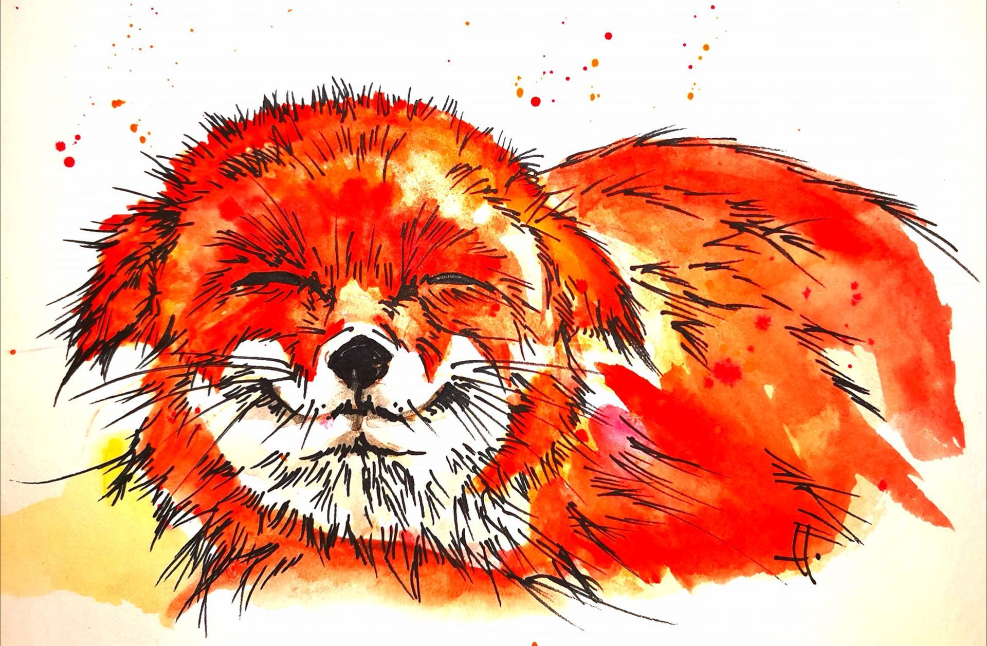 Aquarellzeichnung Fuchs