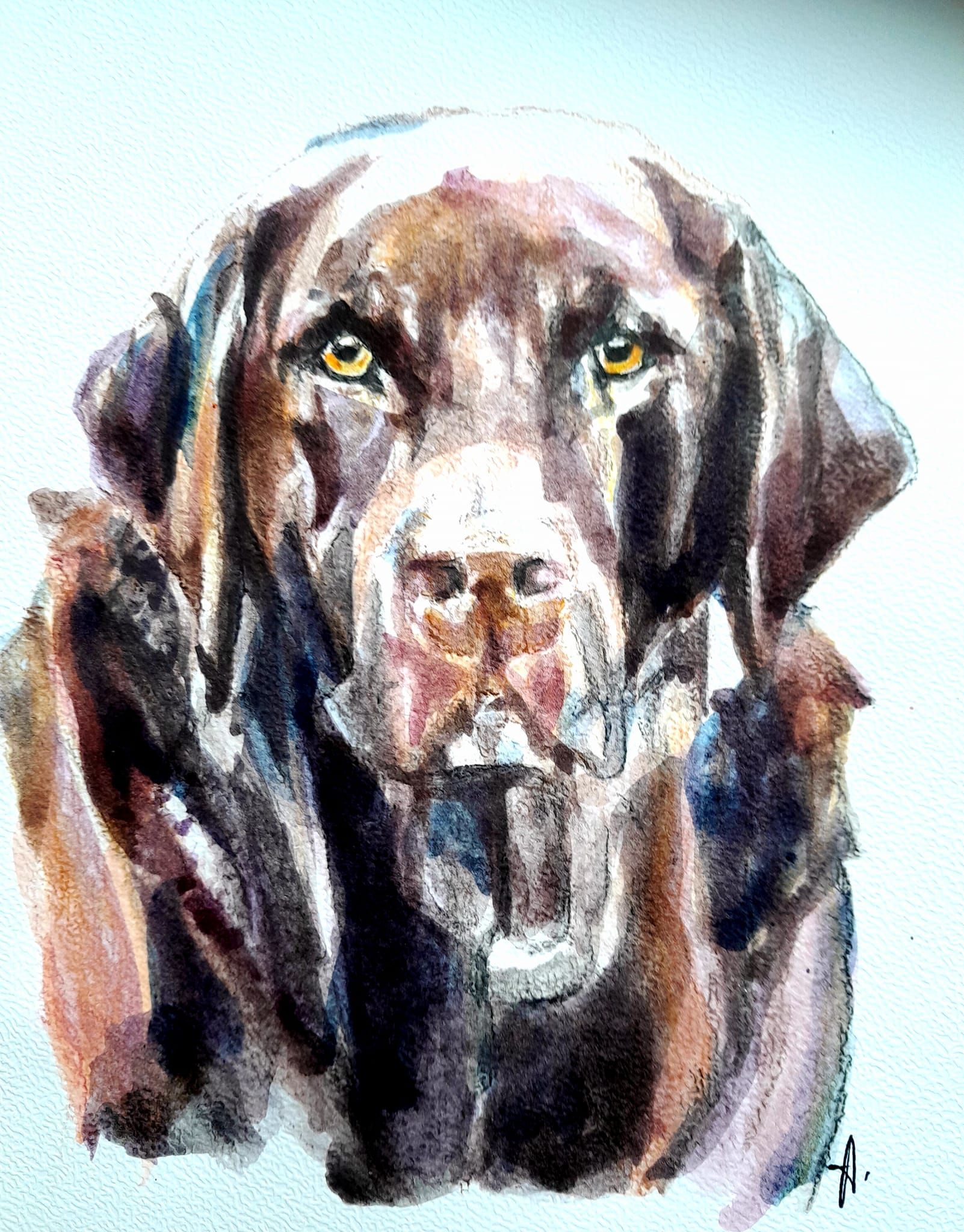Zeichnung eines Hundes Aquarell