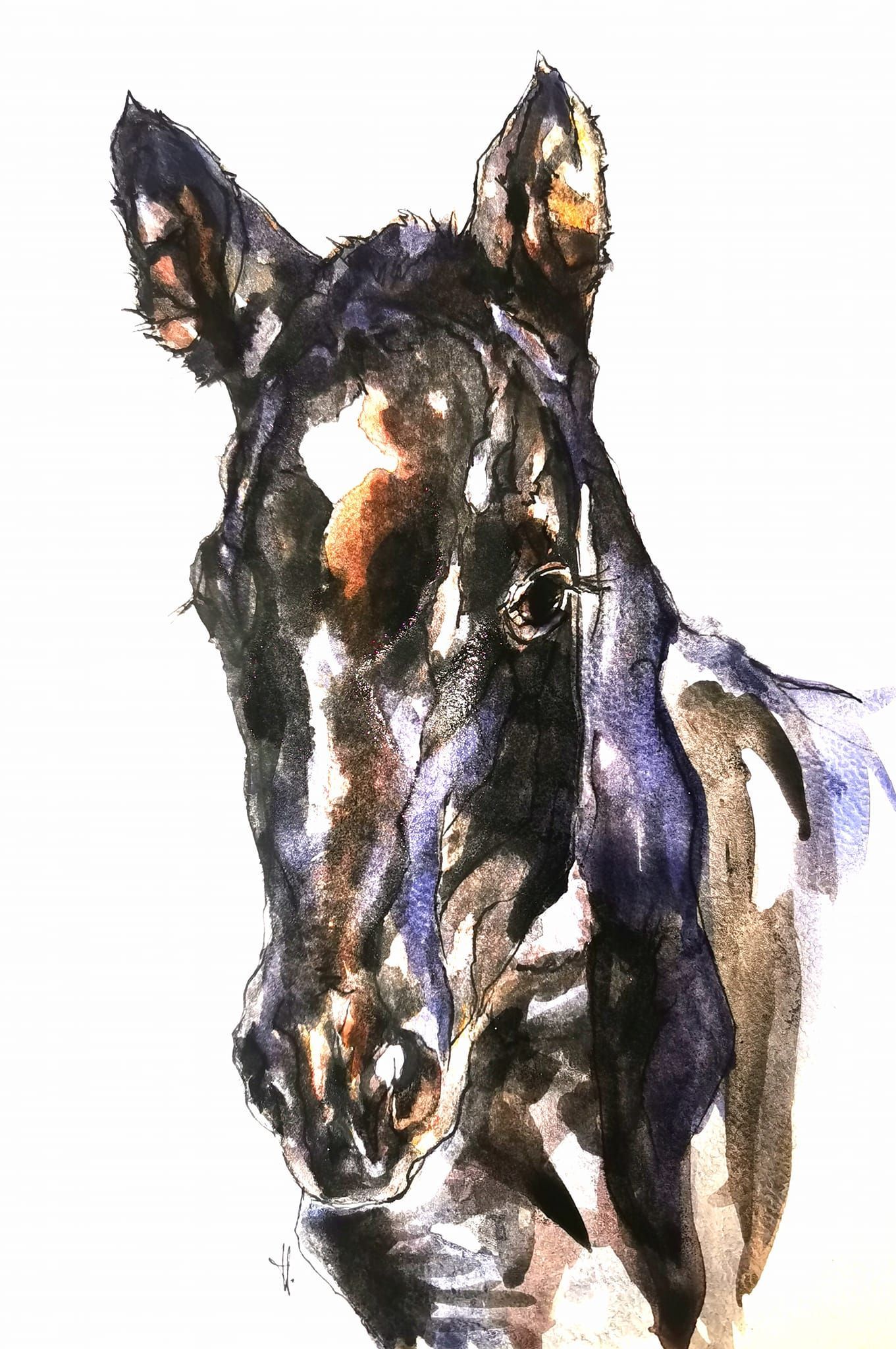 Foto zeigt eine Aquarellzeichnung Pferd