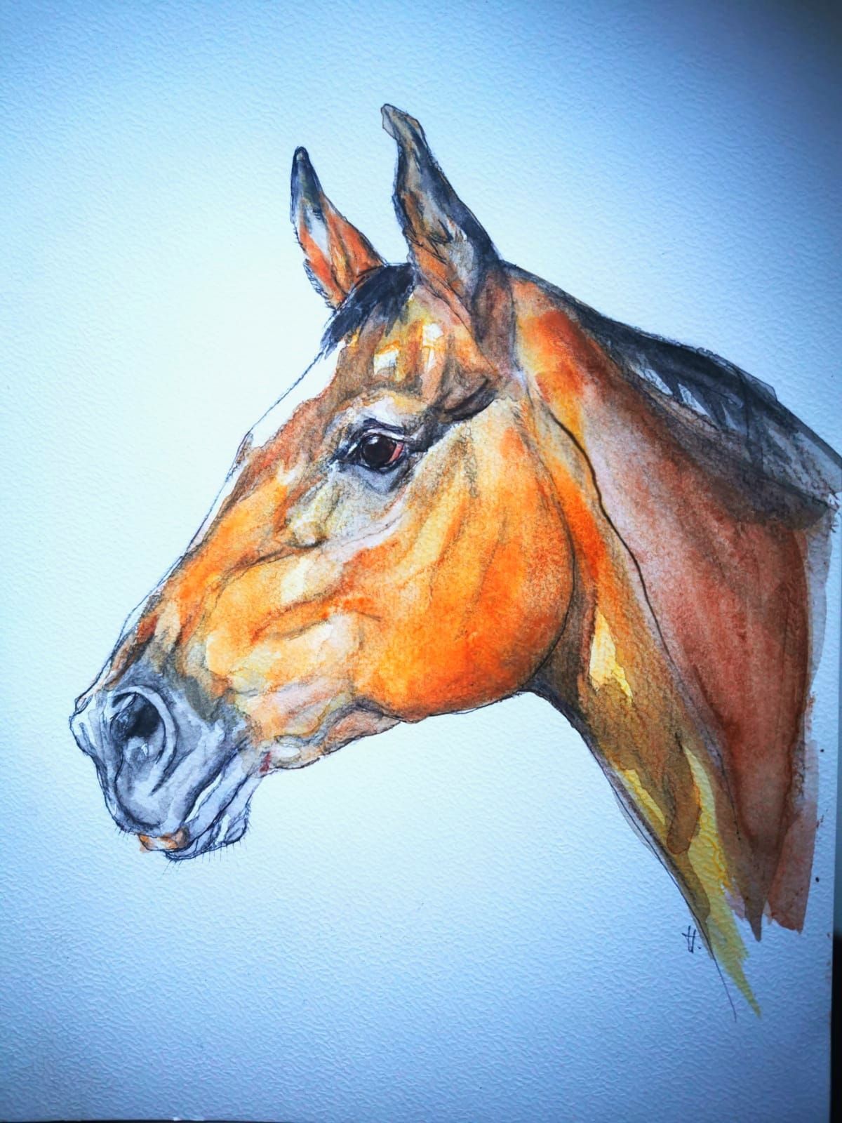 Foto zeigt eine Aquarellzeichnung Pferd