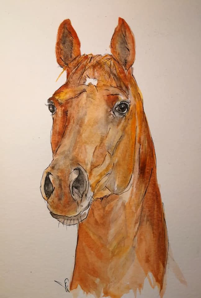 Foto zeigt eine Aquarellzeichnung Pferd