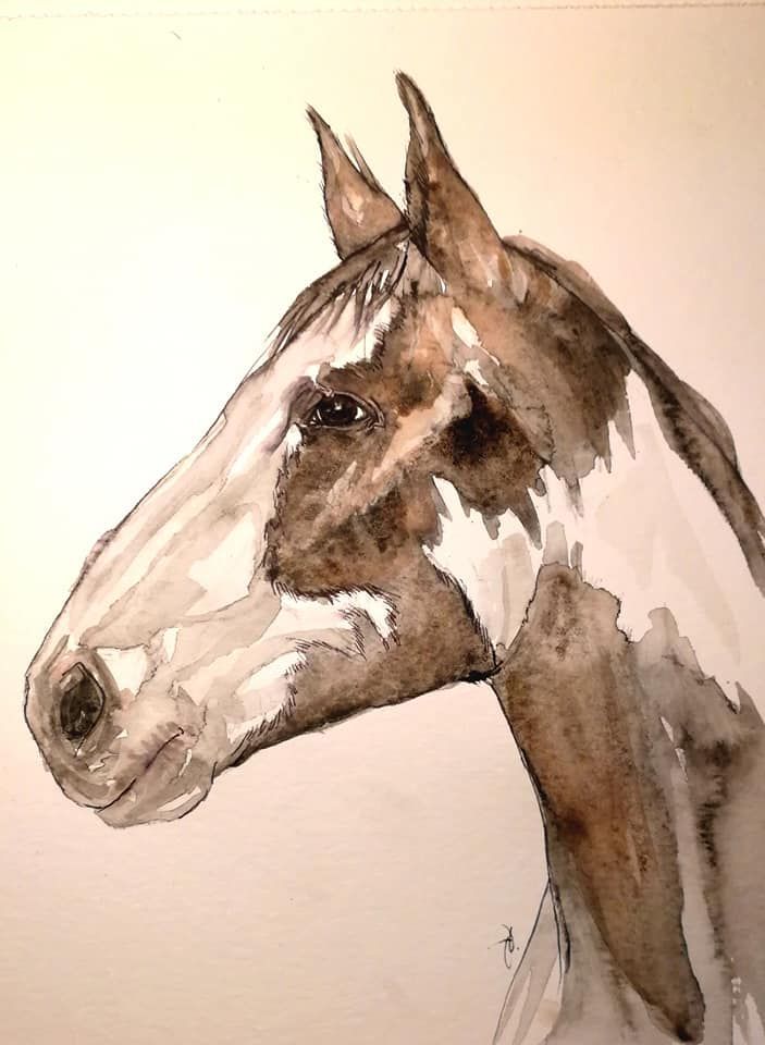 Foto zeigt eine Aquarellzeichnung Pferd