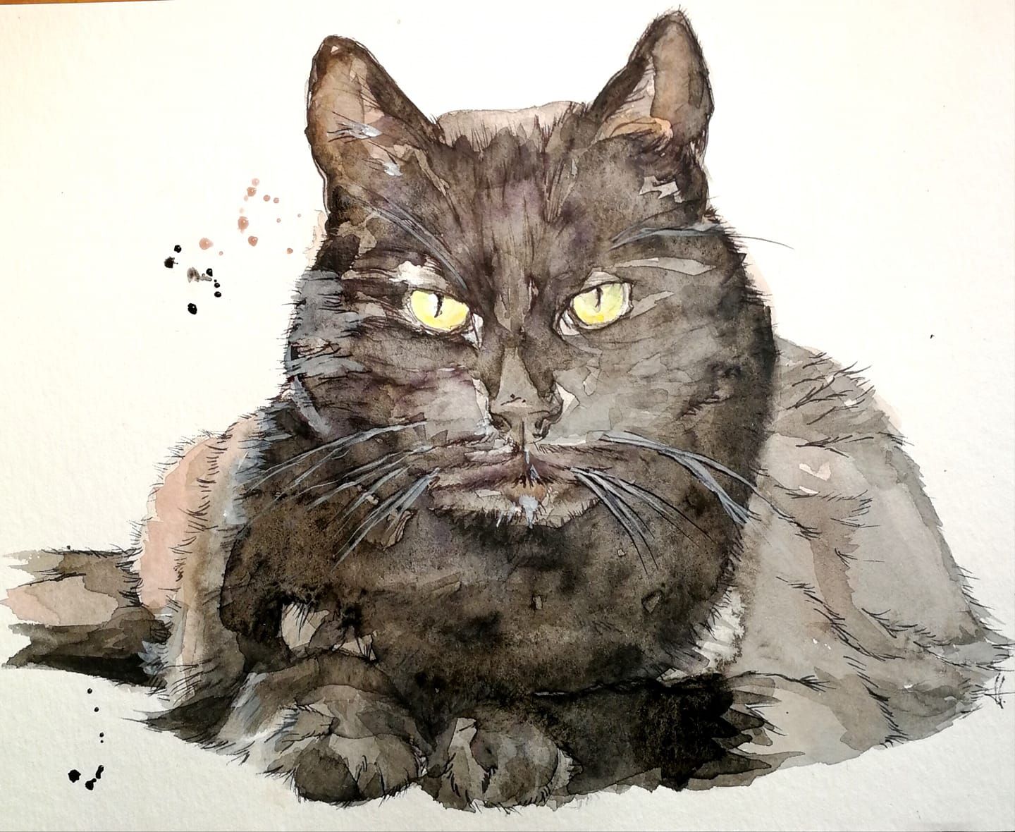 Foto zeigt eine Aquarellzeichnung Katze