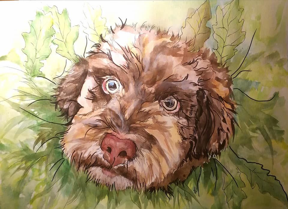 Zeichnung eines Hundes Aquarell