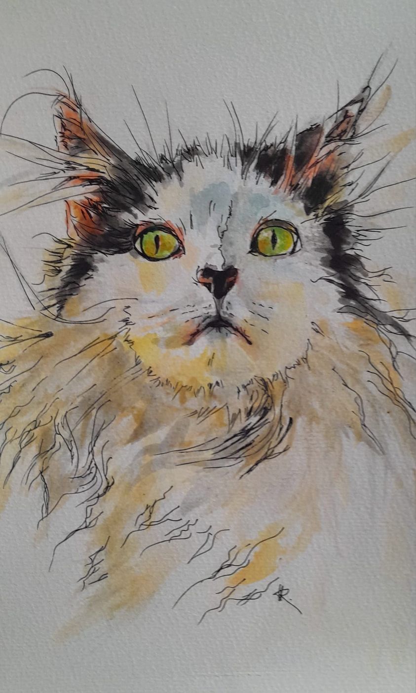 Foto zeigt eine Aquarellzeichnung Katze