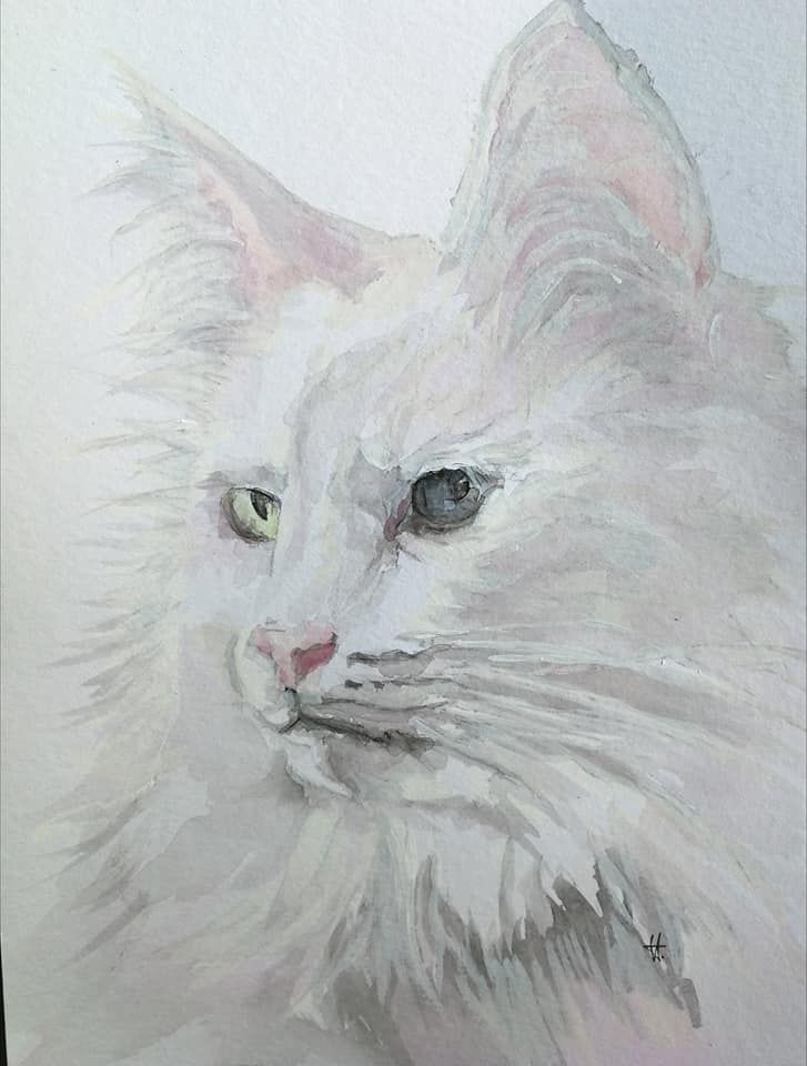 Foto zeigt eine Aquarellzeichnung Katze