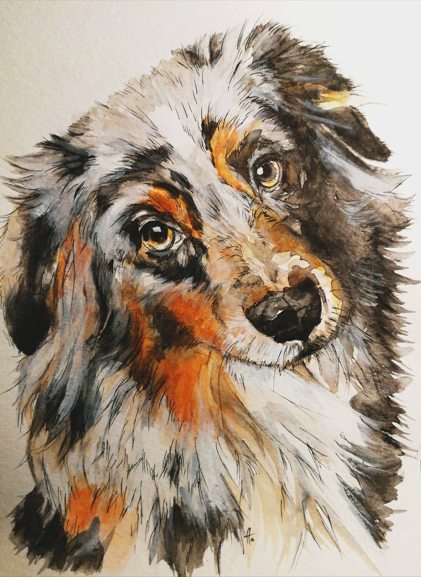 Zeichnung eines Hundes Aquarell