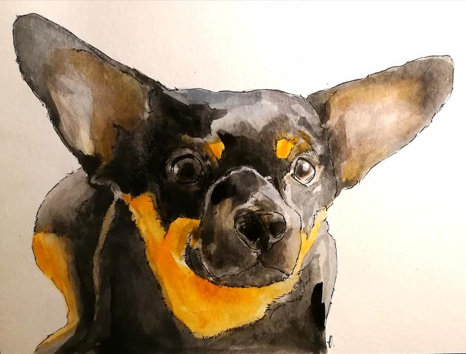 Zeichnung eines Hundes Aquarell