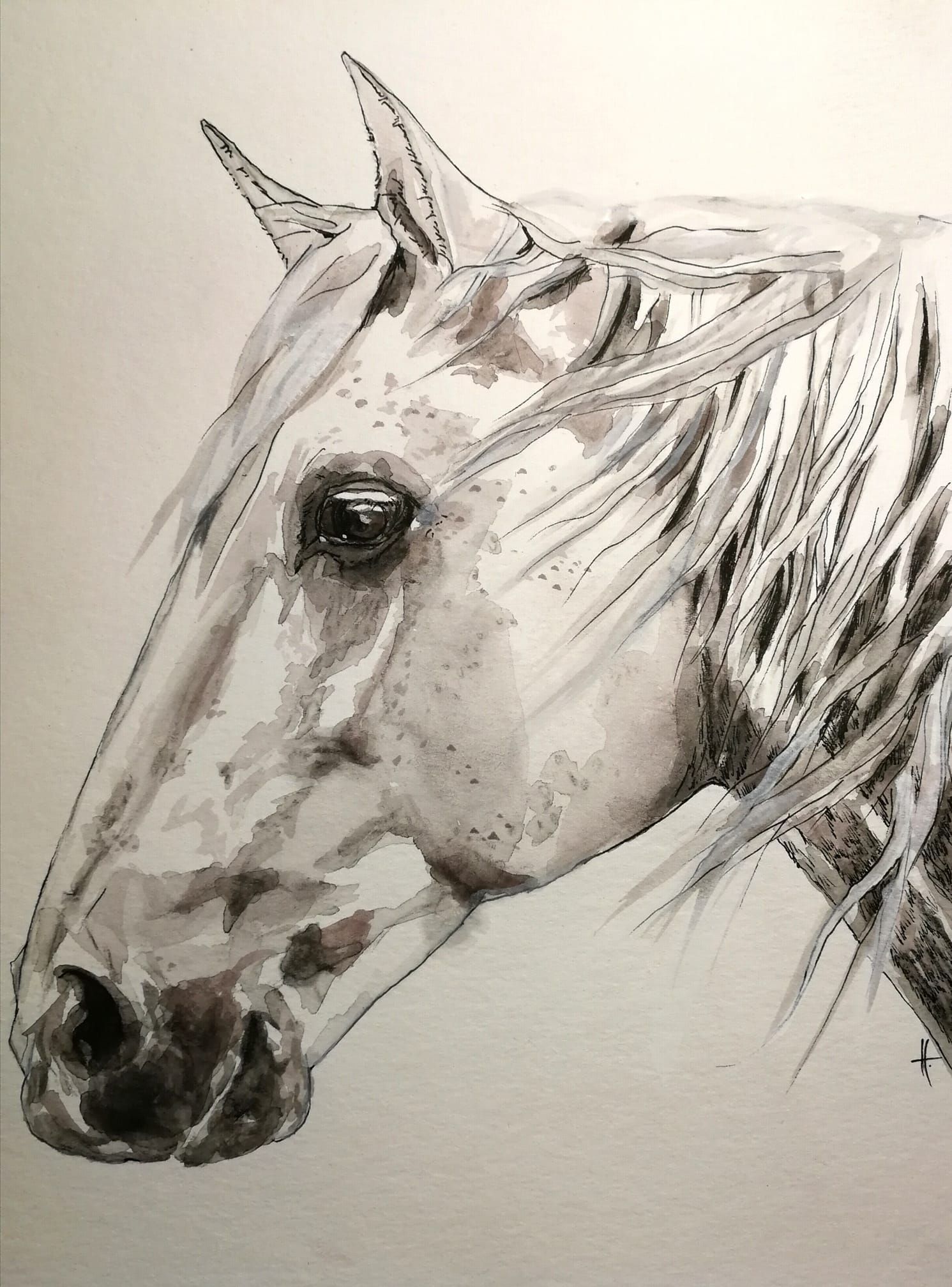 Foto zeigt eine Aquarellzeichnung Pferd