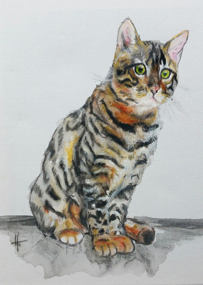 Foto zeigt eine Katzenzeichnung
