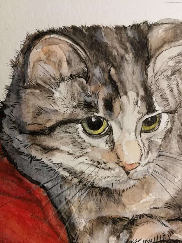 Foto zeigt eine Aquarellzeichnung Katze