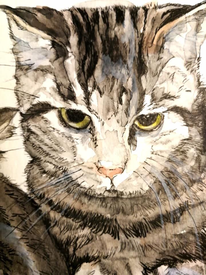 Foto zeigt eine Aquarellzeichnung Katze