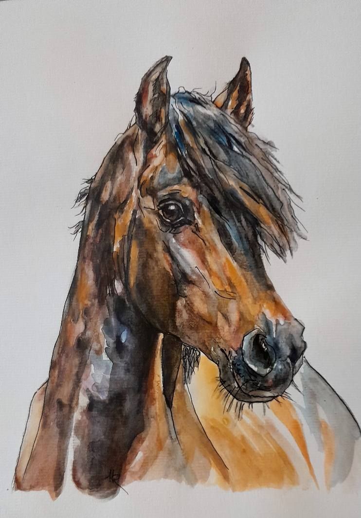 Foto zeigt eine Aquarellzeichnung Pferd