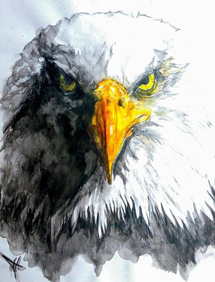Aquarell zeigt Adler