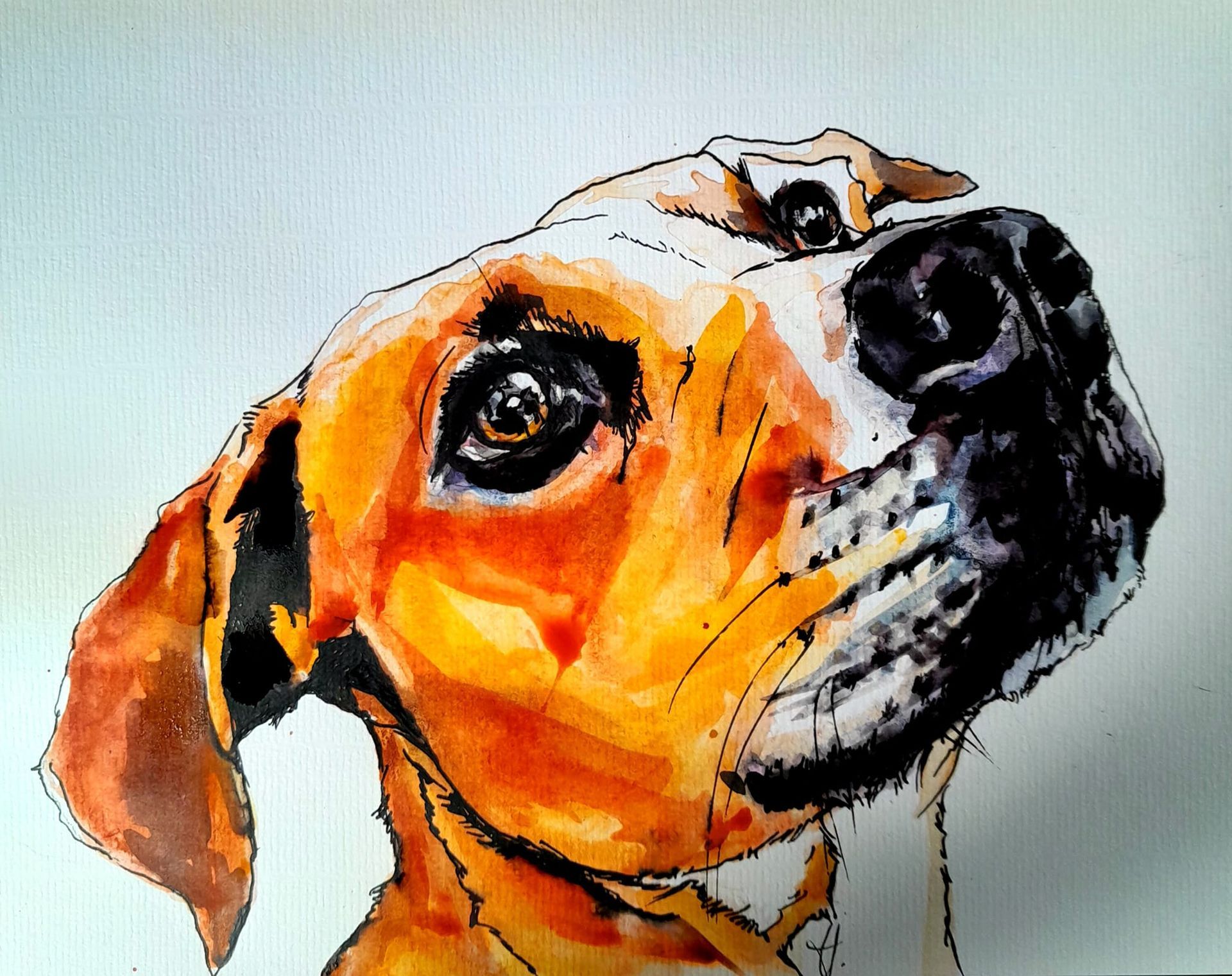 Zeichnung eines Hundes Aquarell