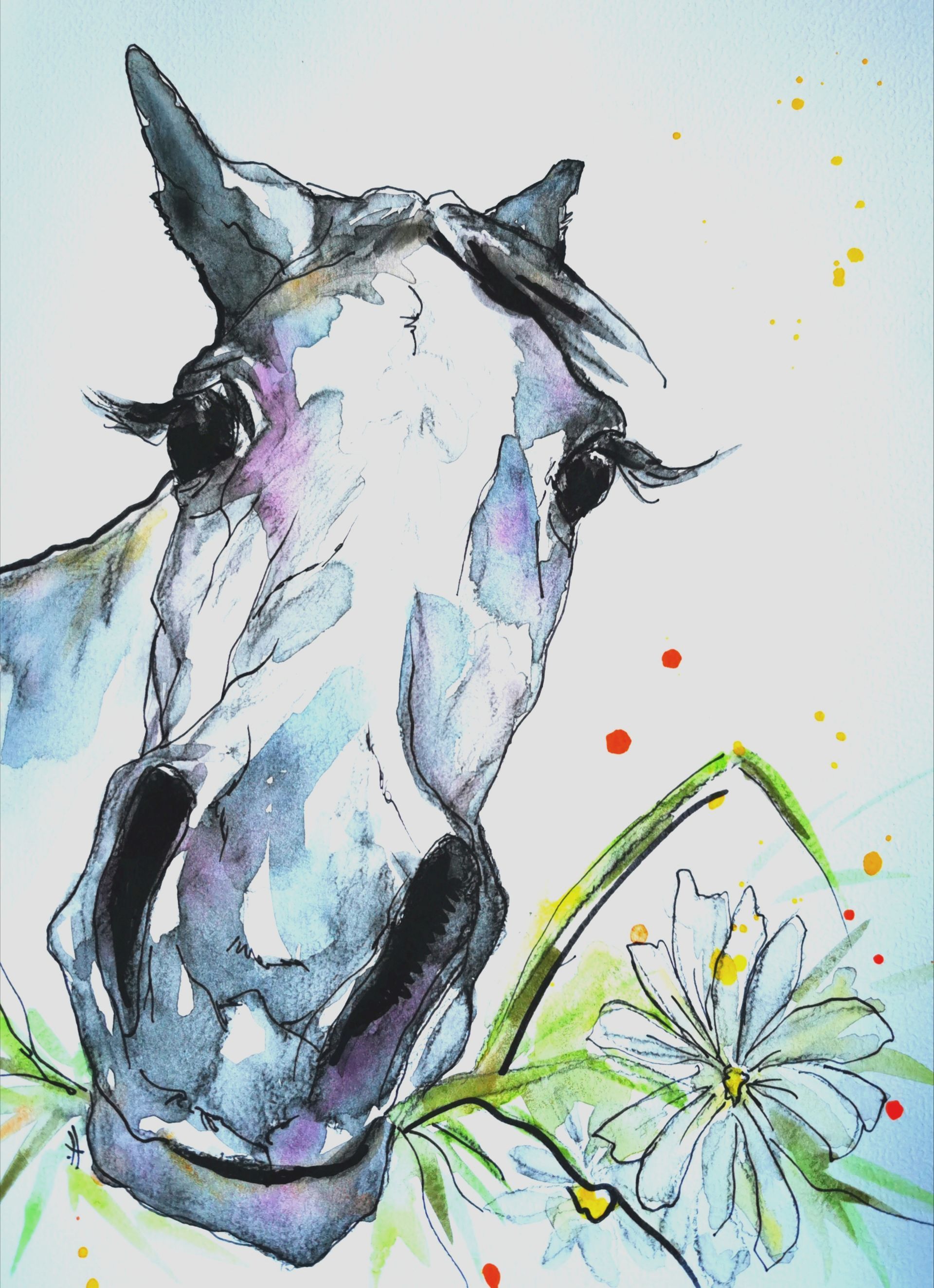 Foto zeigt eine Aquarellzeichnung Pferd