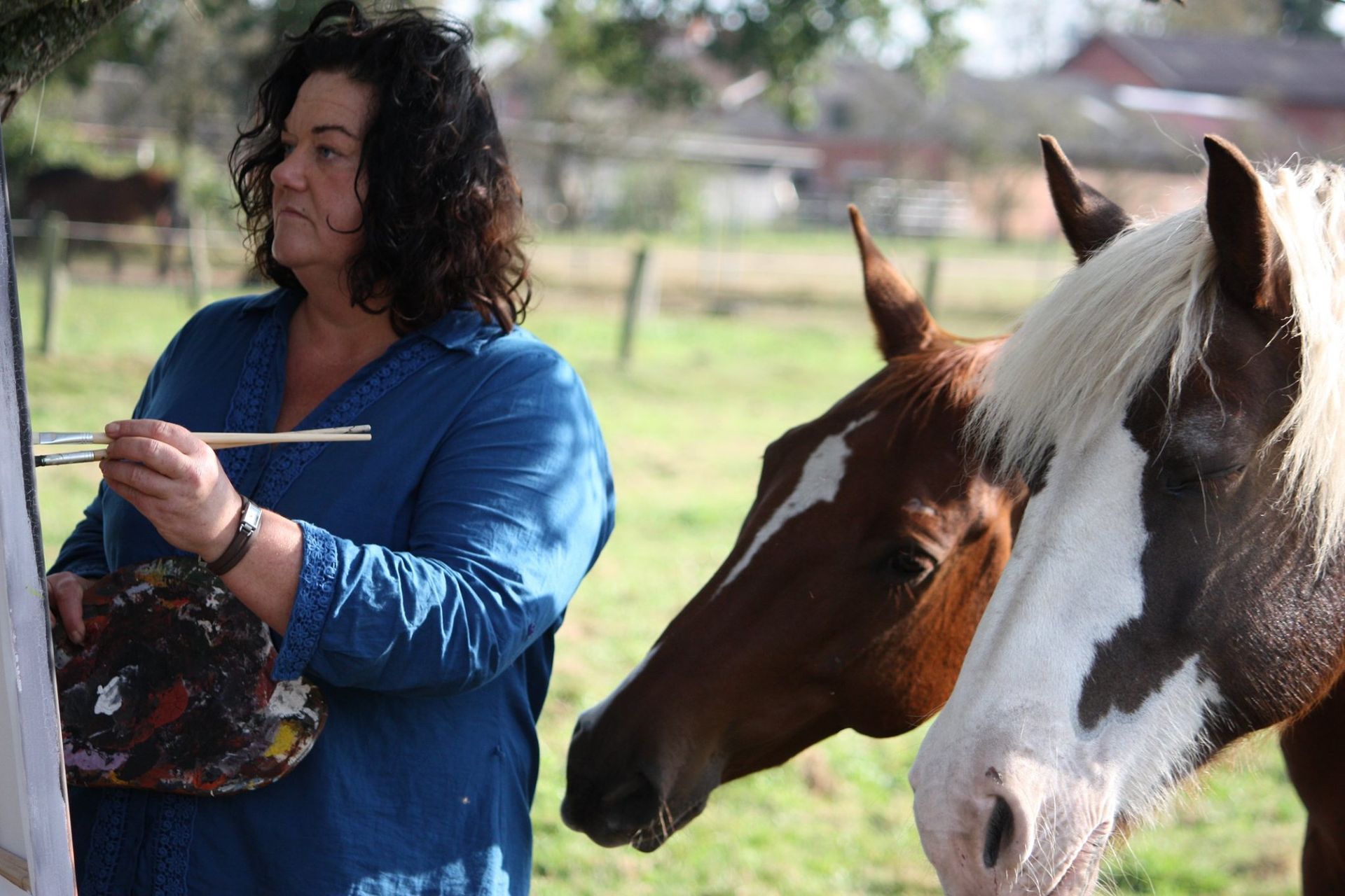 Foto von Mensch und Pferd