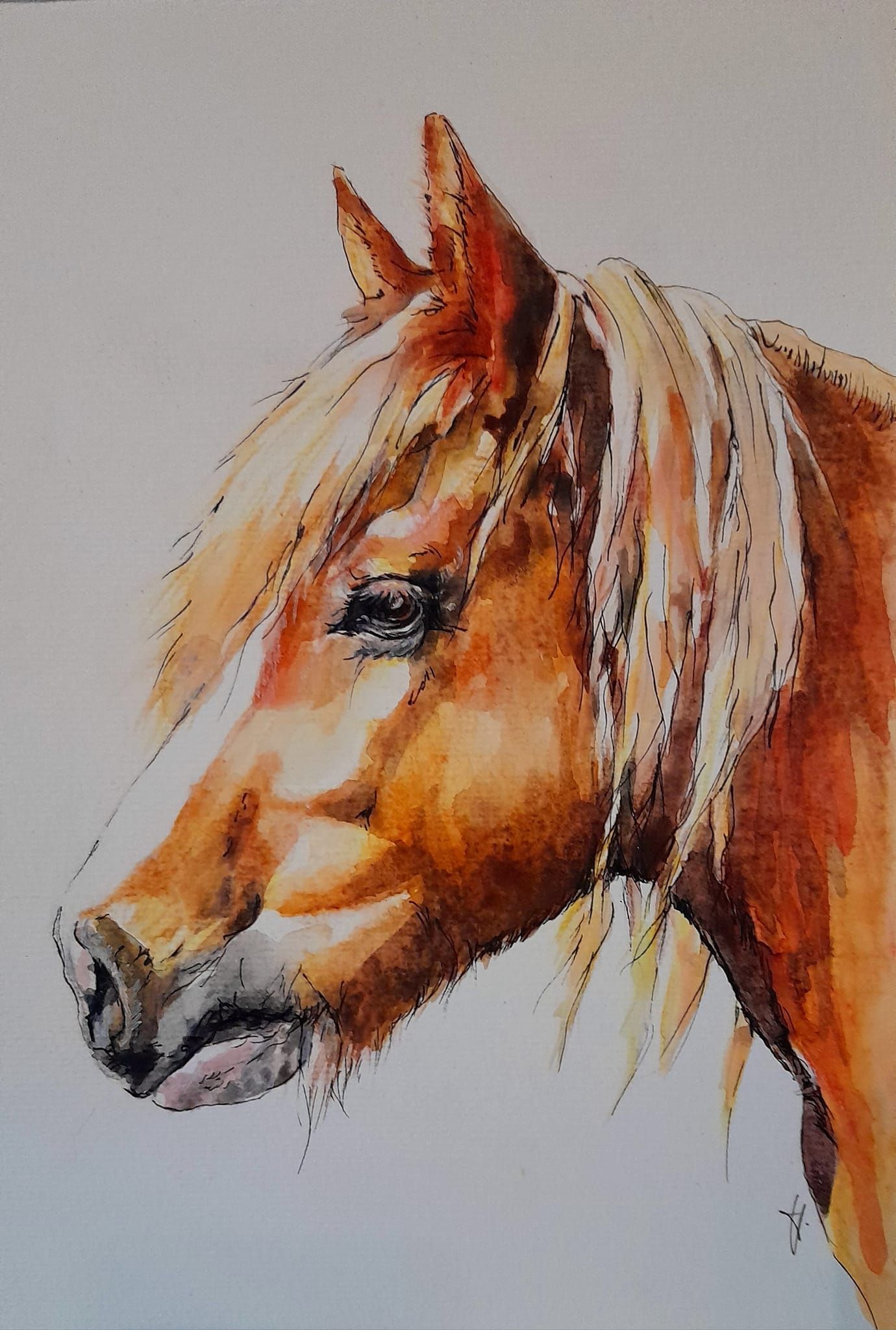 Foto zeigt eine Aquarellzeichnung Pferd