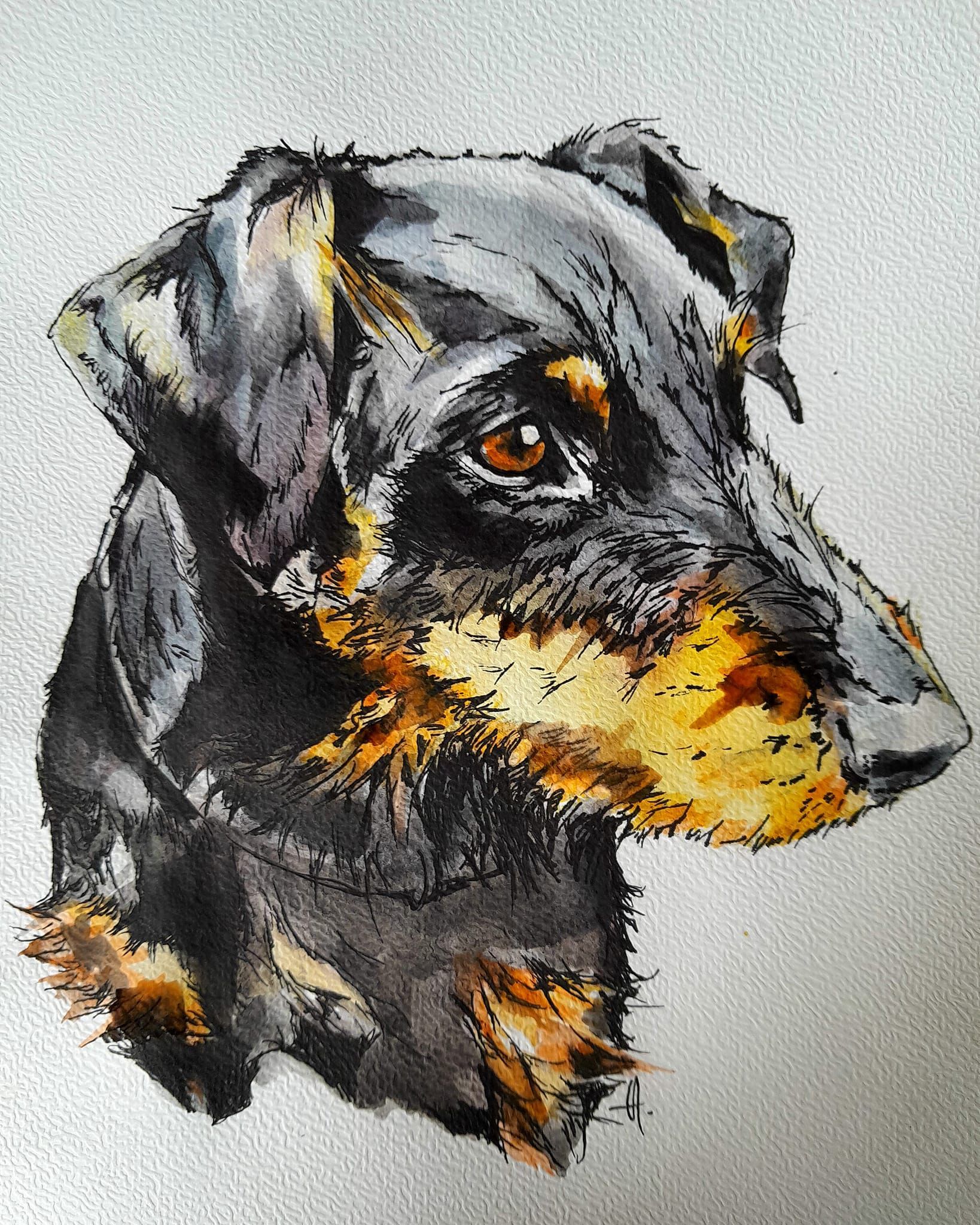 Zeichnung eines Hundes Aquarell