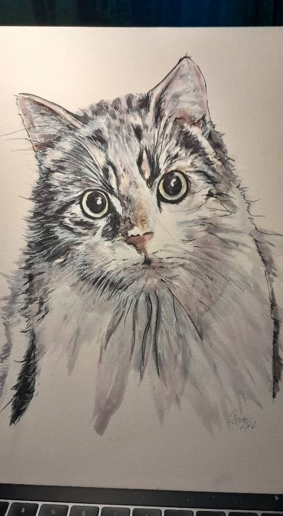 Foto zeigt eine Aquarellzeichnung Katze
