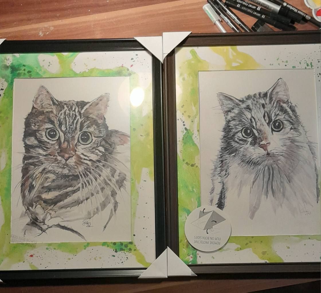 Foto zeigt eine Aquarellzeichnung Katze
