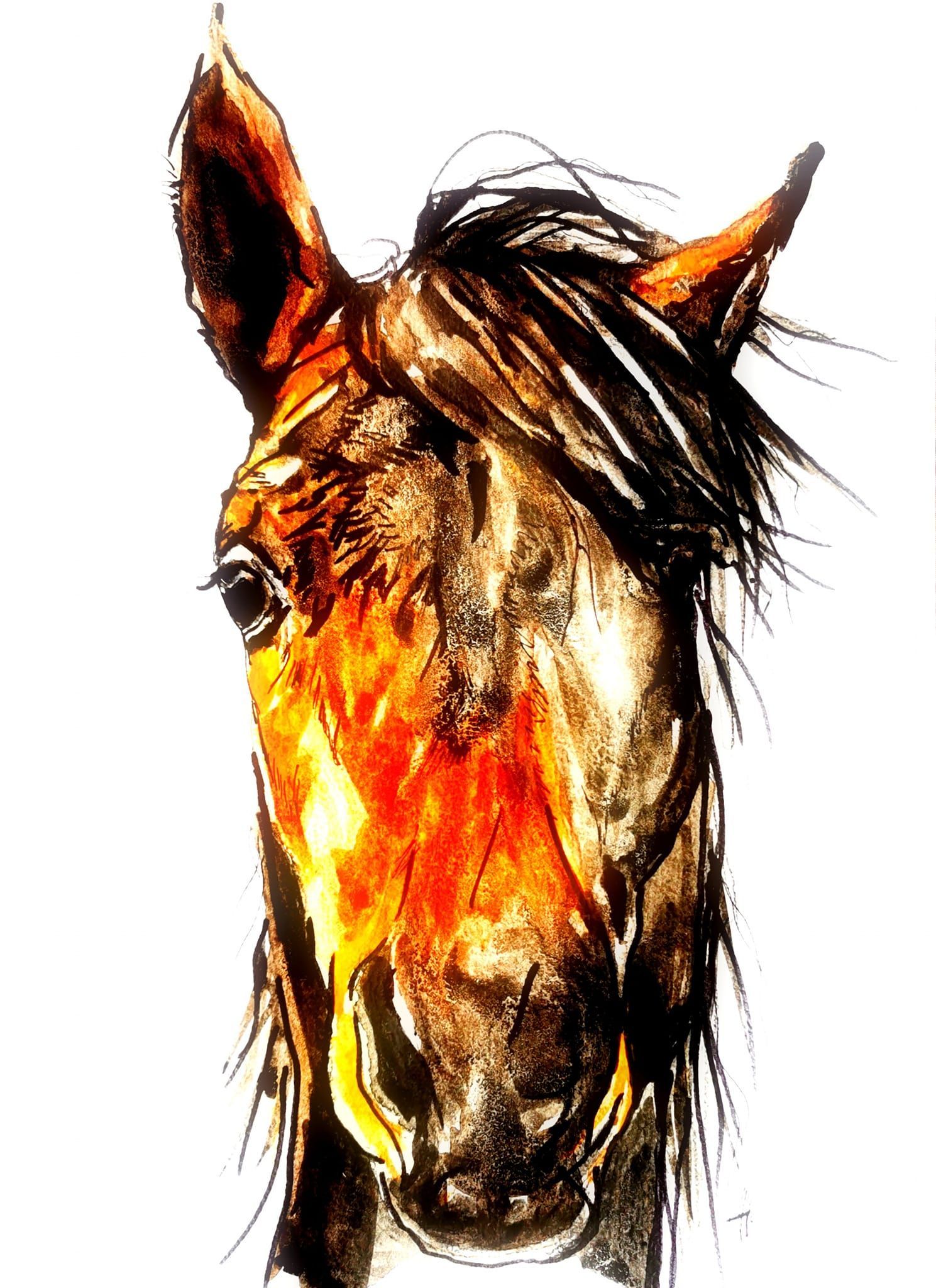 Foto zeigt eine Aquarellzeichnung Pferd