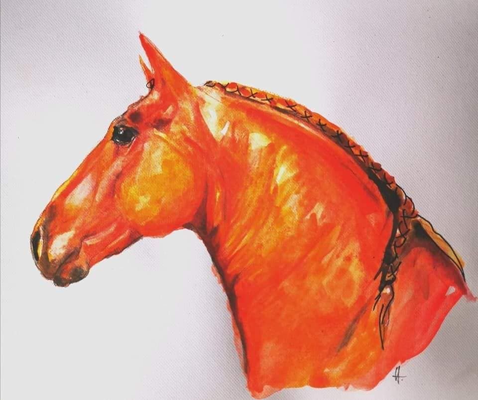 Foto zeigt eine Aquarellzeichnung Pferd