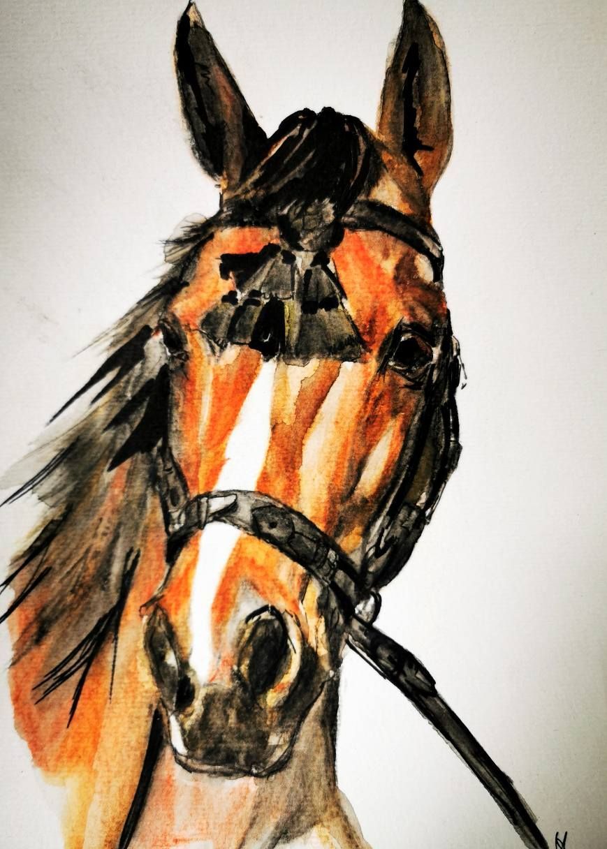 Foto zeigt eine Aquarellzeichnung Pferd