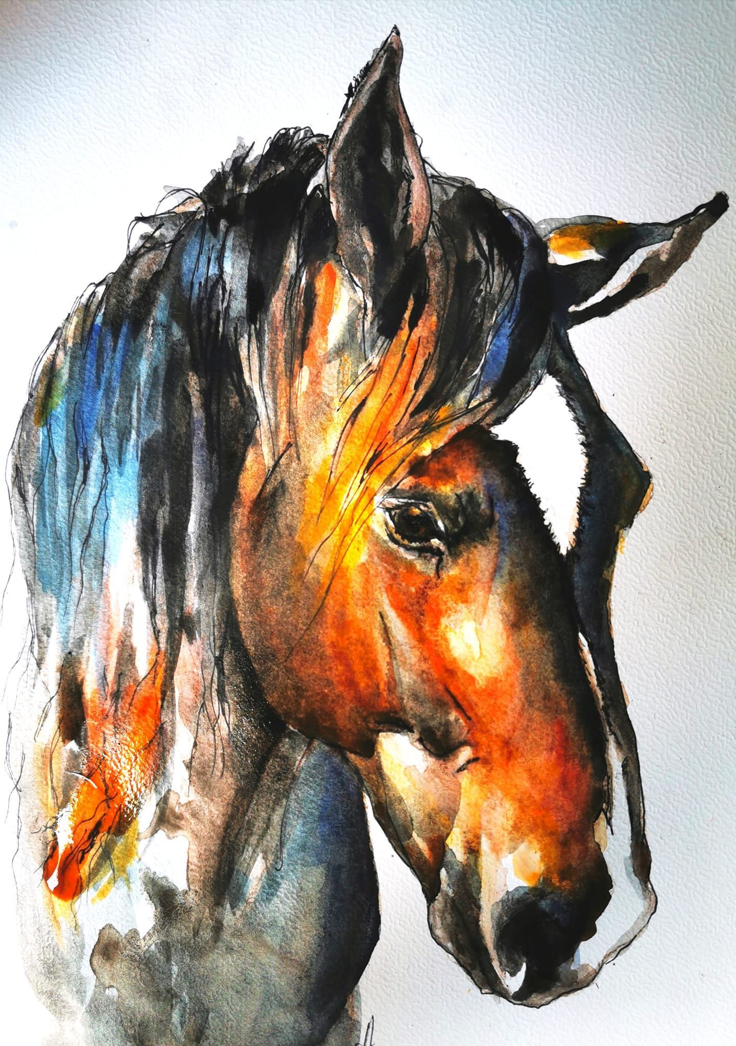 Foto zeigt eine Aquarellzeichnung Pferd