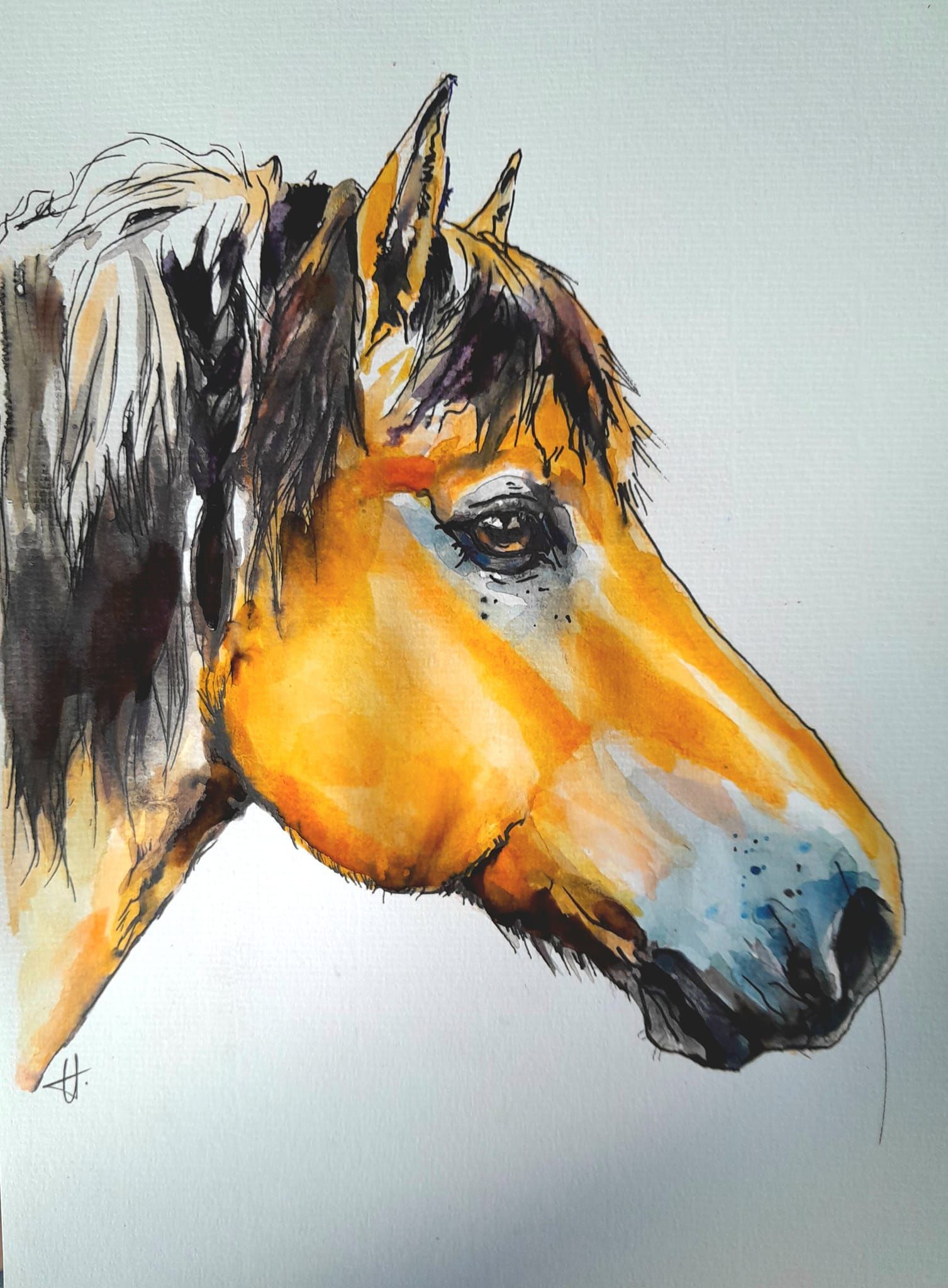 Foto zeigt eine Aquarellzeichnung Pferd