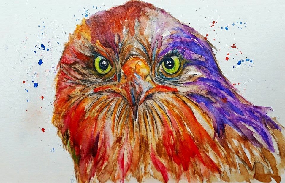 Zeichnung eines Vogels Aquarell
